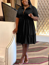 Button Down Shirt Dress - View 11 | Lwiis