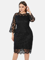Three Quarter Sleeve Lace Panel Dress - View 6 | Lwiis