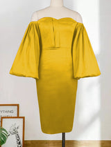 Lantern Sleeve Midi Dress - View 6 | Lwiis