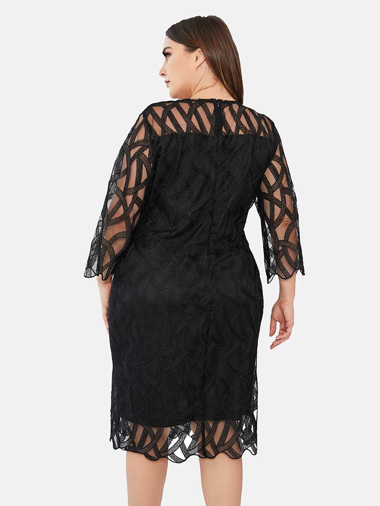 Three Quarter Sleeve Lace Panel Dress - View 8 | Lwiis
