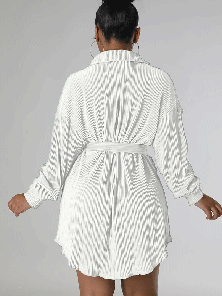 Ruched Collared Shirt Dress with Belt - View 11 | Lwiis