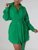 Ruched Collared Shirt Dress with Belt - View 6 | Lwiis