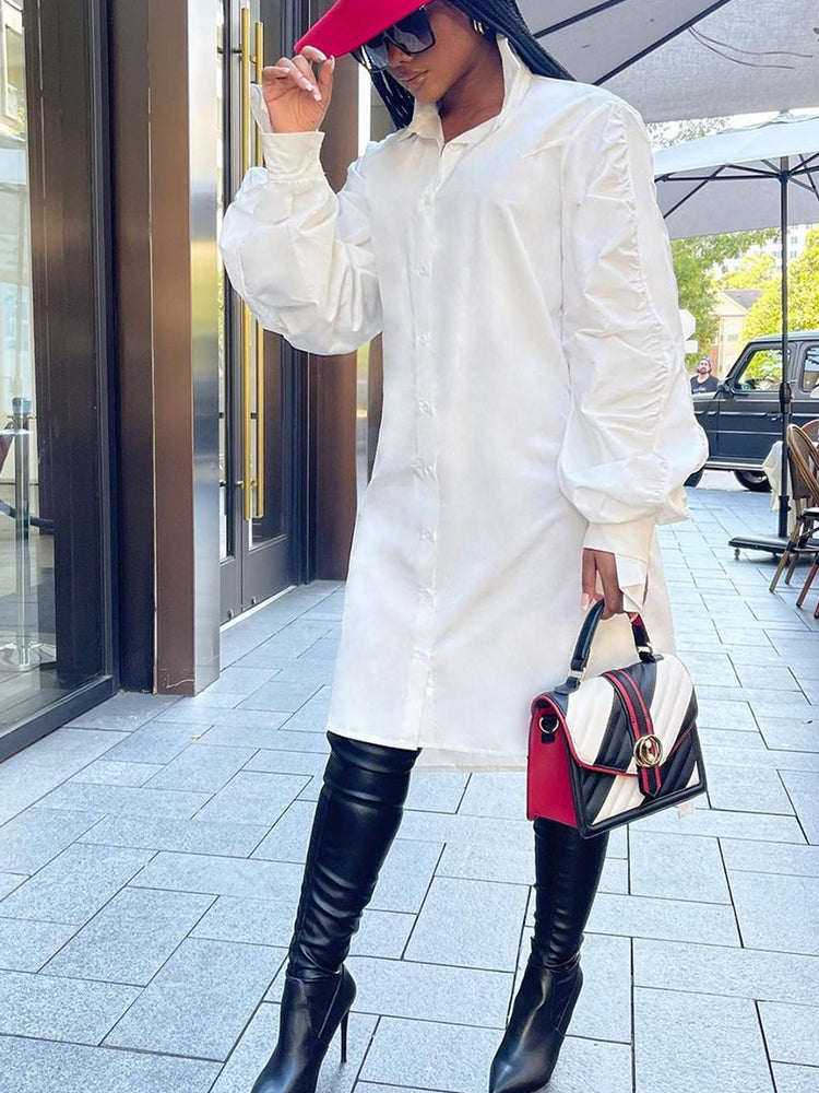 Turndown collar long sleeve shirt dress - View 11 | Lwiis