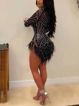 Side view of a black sheer mesh mini dress with long sleeves and feather trim.