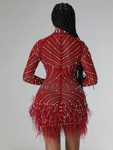 Feather Trim Rhinestone Mini Dress - View 17 | Lwiis