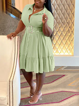 Button Down Shirt Dress - View 8 | Lwiis