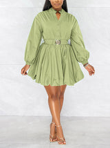 Puffy sleeve belted dress - View 13 | Lwiis
