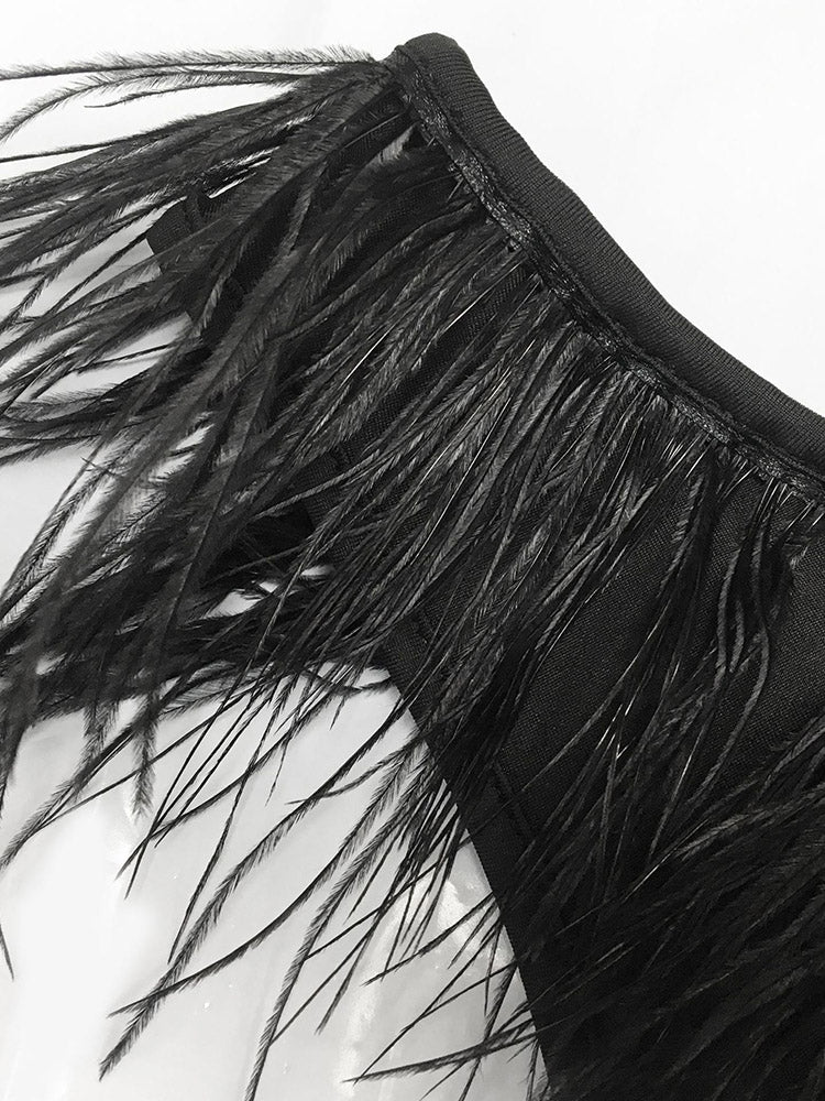 Close-up of black feather trim on a dress.