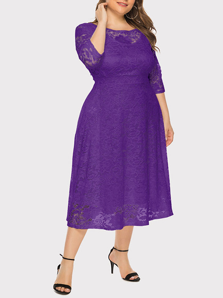 Lace A-Line Midi Dress - View 31 | Lwiis