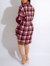Plaid Long Sleeve Shirt Dress - View 6 | Lwiis