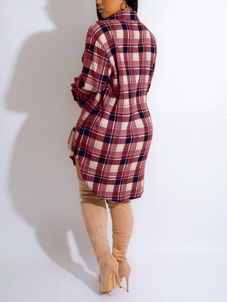 Plaid Long Sleeve Shirt Dress - View 6 | Lwiis