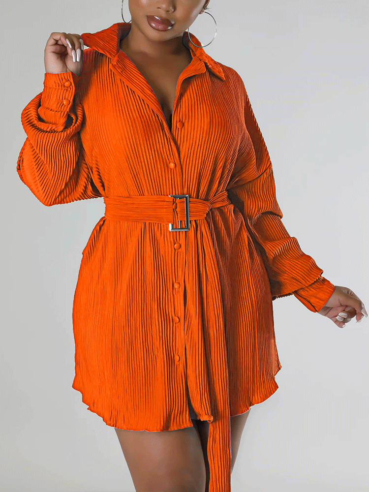 Ruched Collared Shirt Dress with Belt - View 13 | Lwiis