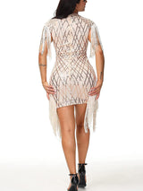 Sequin fringe sheath dress - View 7 | Lwiis