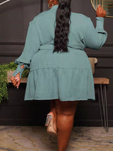 Button Down A-Line Dress - View 13 | Lwiis