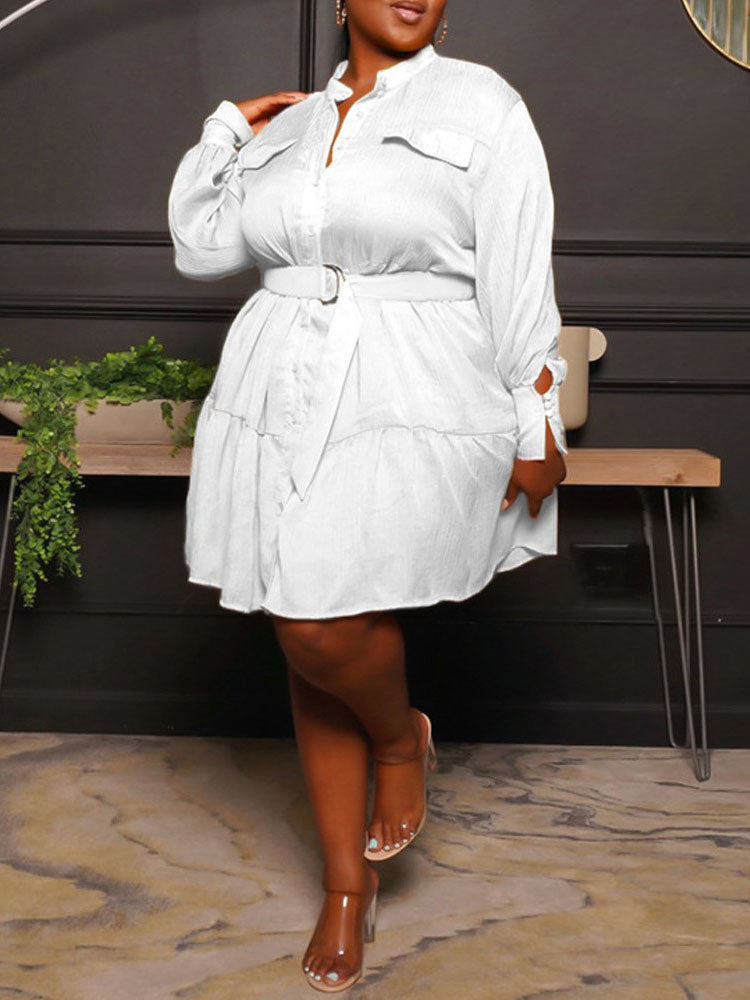 Button Down A-Line Dress - View 15 | Lwiis