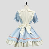 Cute Cat Maid Dress Cosplay Costume - View 6 | Lwiis