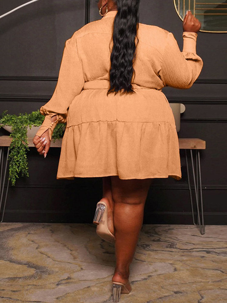 Button Down A-Line Dress - View 10 | Lwiis