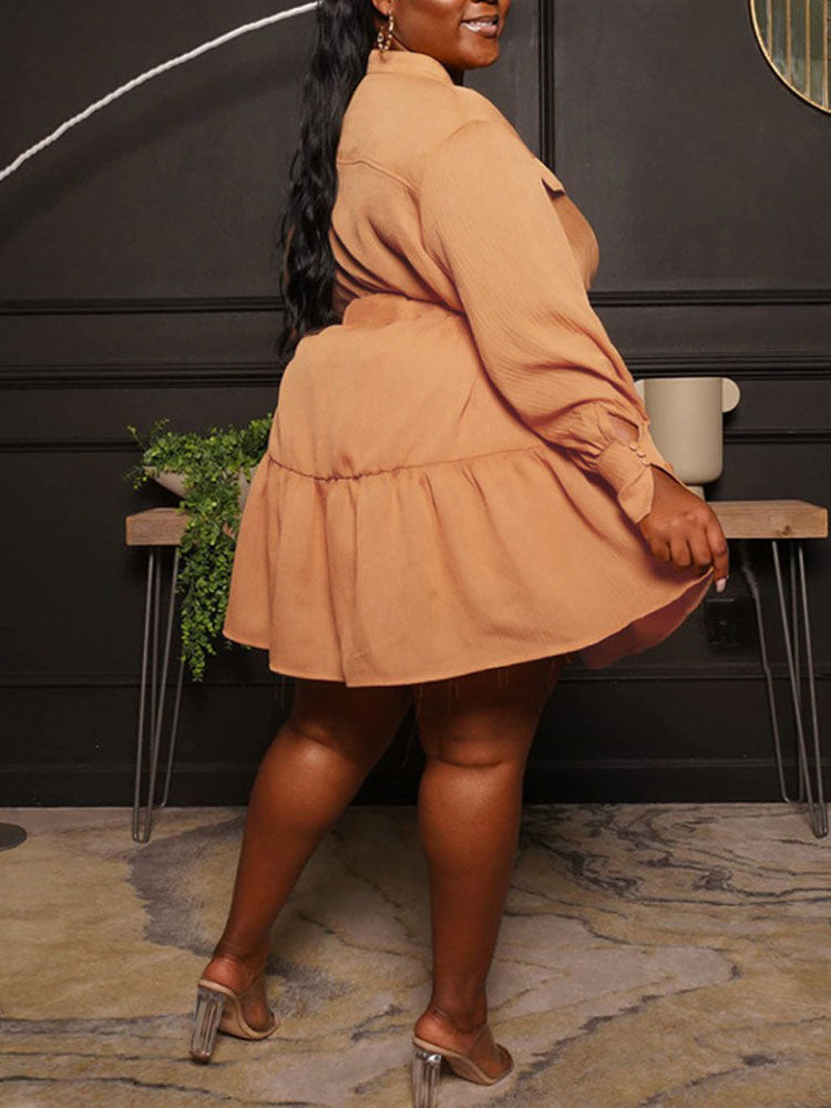 Button Down A-Line Dress - View 11 | Lwiis