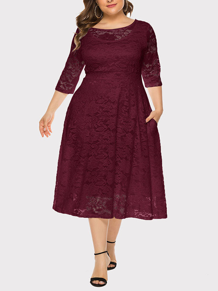 Lace A-Line Midi Dress - View 19 | Lwiis