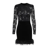 Product image of a black lace and velvet mini dress with feather trim, front view.