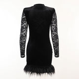 Product image of a black lace and velvet mini dress with feather trim, back view.