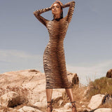 Woman wearing a long-sleeved, mock-neck tiger print sheath dress in a desert landscape.