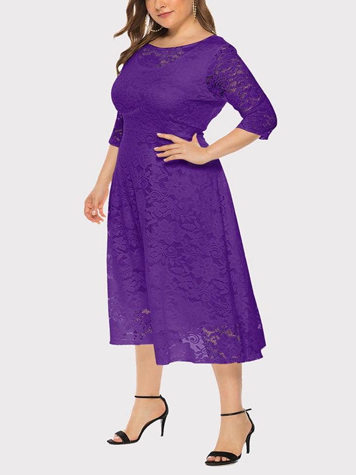 Lace A-Line Midi Dress - View 30 | Lwiis